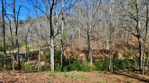 5565 Riverwalk Ct, Gainesville GA 30506-2987 exterior