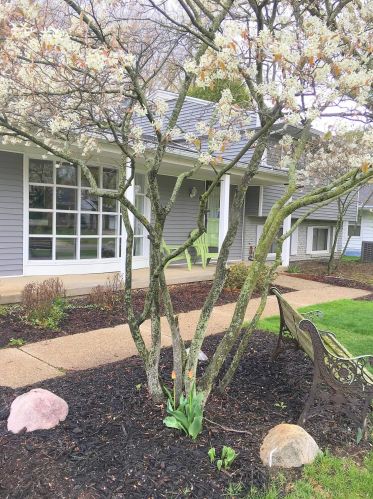 3625 Chamberlain Ave, Grand Rapids MI 49508-2608 exterior