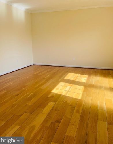 438 Northwest Dr, Silver Spring MD 20901-1435 exterior