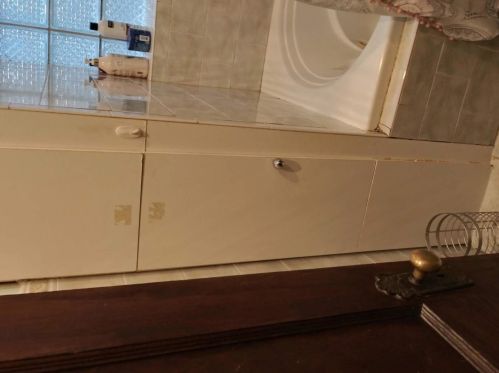 1520 Hamlin Ave, Chicago IL 60651-2146 exterior