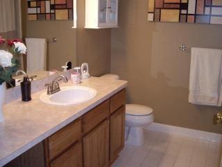 1505 Addington Ln, Ann Arbor MI  48108-8955 exterior