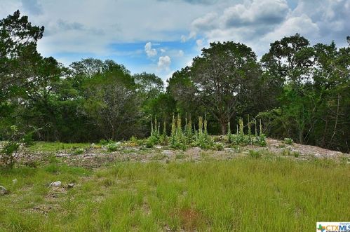 160 Wren Cir, Spring Branch, TX 78070