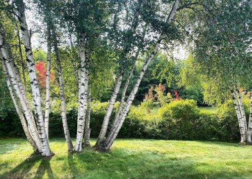 2 Asa Dr, Concord NH  03304-4012 exterior