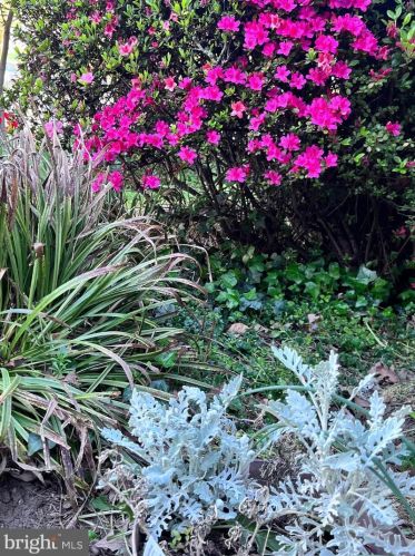 1838 41 Pl, Washington DC 20020-6021 exterior