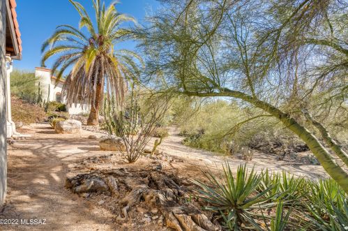 977 Palma De Pina, Tucson AZ 85704-3957 exterior