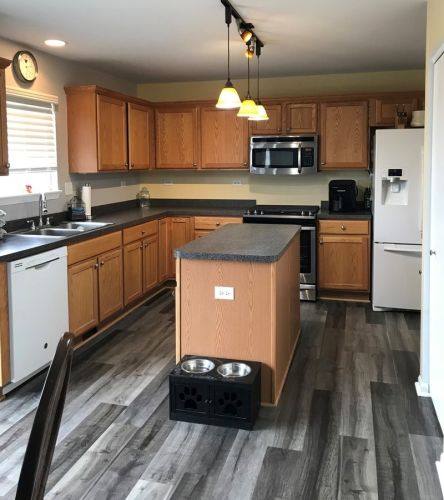 913 Salvia Ln, Joliet, IL 60431-7865