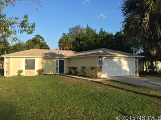 1407 Victory Palm Dr, Edgewater, FL 32132-2421