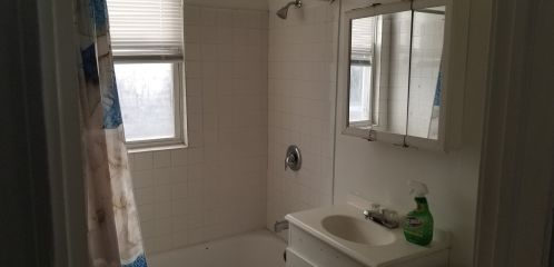 1317 Homan Ave, Chicago IL  60623-1602 exterior