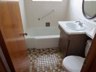 8834 Troy Ave, Chicago IL  60805-1227 exterior