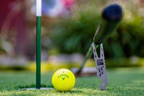 100 Cyn Rim Dr, Folsom CA 95630-2034 exterior