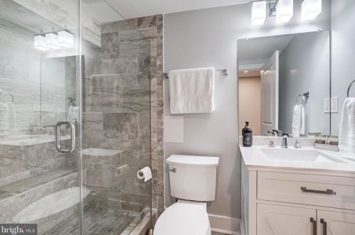 113 Maple St, Alexandria VA 22301-2606 exterior