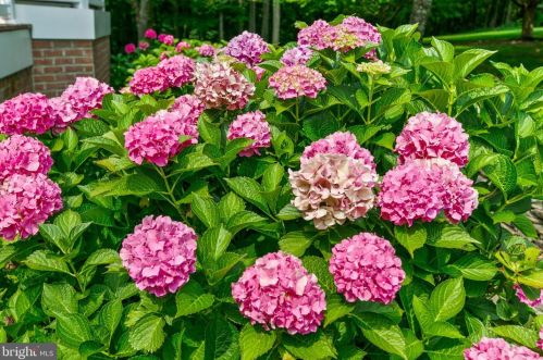 15173 Sapling Rdg Dr, Dayton MD 21036-1259 exterior