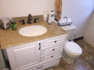 2208 Wightman St, Pittsburgh PA  15217-2015 exterior