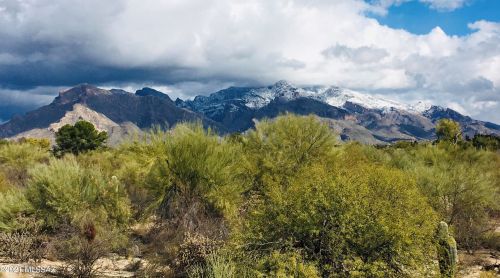 1935 Cholla Vista Dr, Tucson AZ  85704-1089 exterior