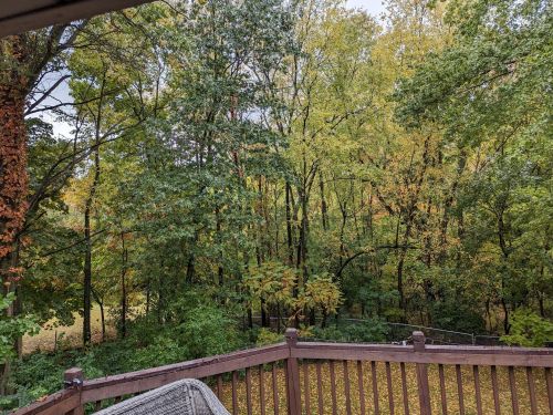 5536 Mount Vernon Ave, Kalamazoo MI  49024-1215 exterior