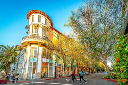 514 Mayellen Ave, San Jose CA  95126-3313 exterior