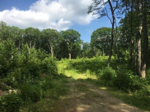 149 Suomi St, Worcester, MA 01612-1262