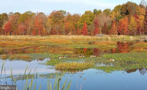 3528 Huntley Manor Ln, Alexandria VA 22306-5116 exterior