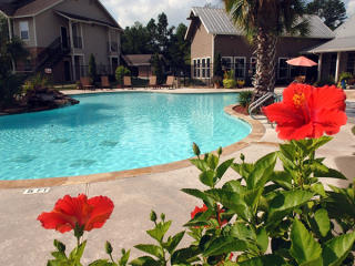 5015 Louetta Rd, Spring TX  77379-8163 exterior