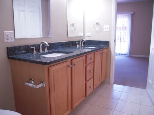 214 Hamilton Ave, Chicago IL  60612-3007 exterior