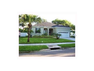 4713 Fielder St, Tampa FL  33611-3118 exterior