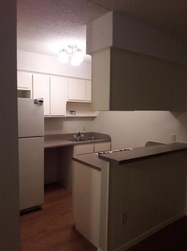 400 34th St, Austin TX 78705-1600 exterior