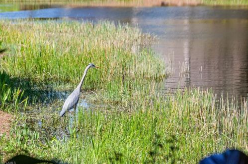 2481 Augusta Dr, Naples FL 34109-3347 exterior