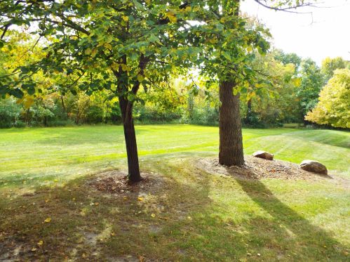 1882 Jenny Ln, Rochester MI 48309-3381 exterior