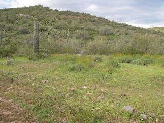 37114 33rd Ave, Phoenix, AZ