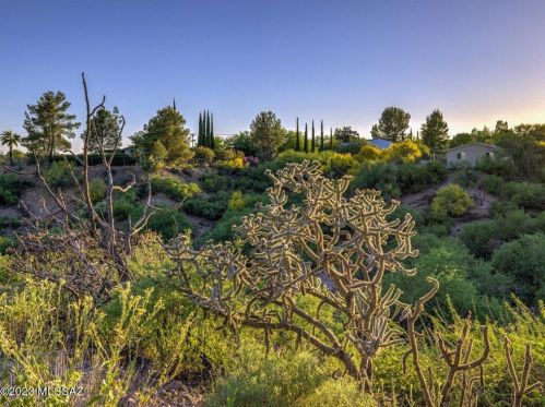 15259 Lago Del Oro Pkwy, Tucson AZ 85739-9621 exterior