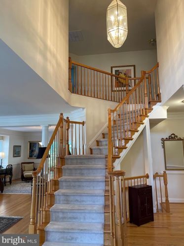 6915 Bonheim Ct, Mc Lean VA  22101-5100 exterior