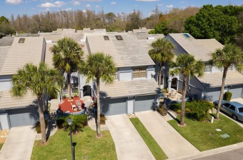 4206 Brentwood Park Cir, Tampa FL 33624-1307 exterior