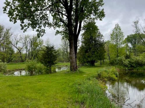 13975 West St, Cedar Springs, MI 49319-9475