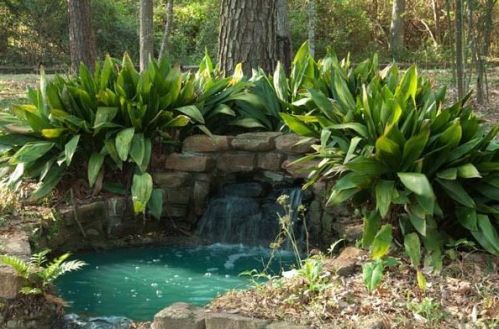 19410 Nehoc Ln, Humble TX 77346-2362 exterior