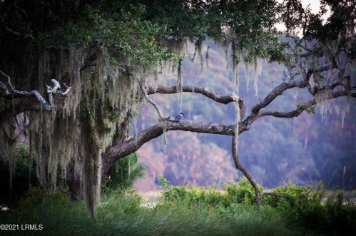 32 Great Heron Way, Bluffton SC 29909-7047 exterior