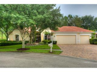 17821 Hickory Moss Pl, Tampa, FL 33647-2285