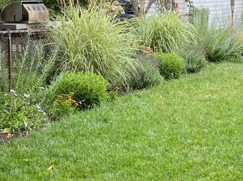 4951 Medill Ave, Chicago IL 60647-2424 exterior