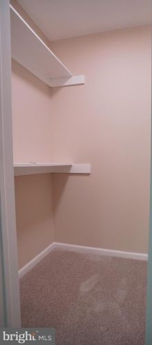 4503 Hazeltine Ct, Alexandria VA 22312-3206 exterior