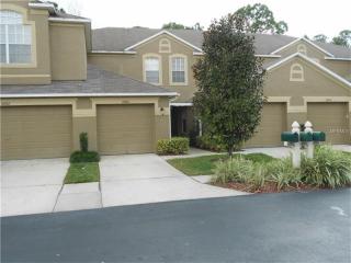 18904 Duquesne Dr, Tampa FL  33647-3423 exterior