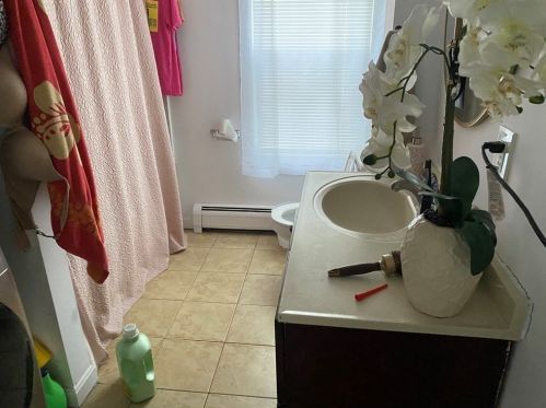 18 Falmouth St, Worcester MA 01607-1313 exterior