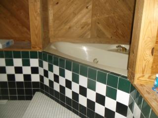 1406 Dawson Dr, Champaign IL  61820-6804 exterior