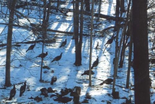 754 County Road 6, Stanford MN 55080-8018 exterior