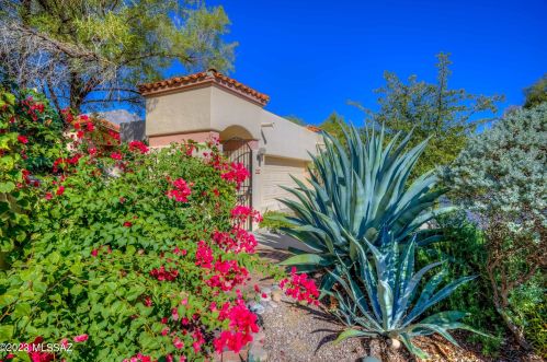 4539 Red Mesa Dr, Tucson AZ  85718-3562 exterior