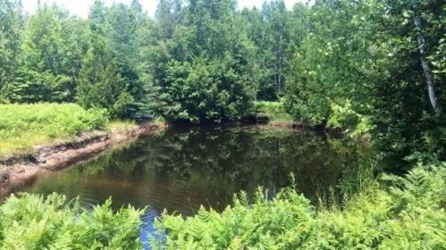 1727 Maxwell Rd, Cheboygan, MI 49721-9705