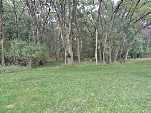 818 Mechanic St, Big Rapids MI 49307-1238 exterior