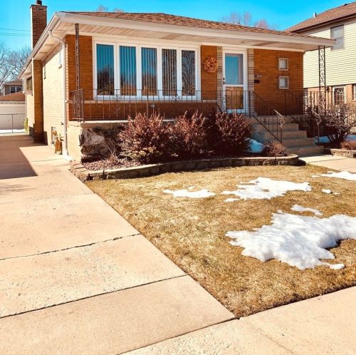 11436 Drake Ave, Chicago, IL 60655-3519