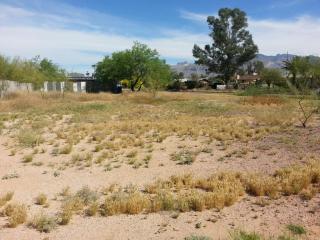 1137 Hedrick Dr, Tucson AZ  85719-2627 exterior