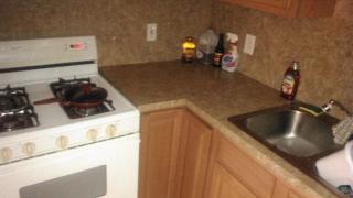 18435 Robson St, Detroit MI  48235-2863 exterior