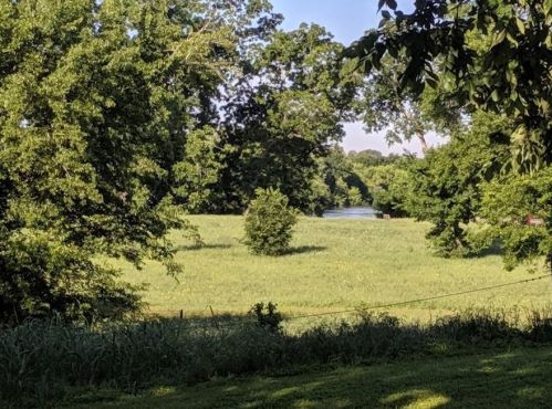 3709 Denehoe Cv, Austin TX  78725-4709 exterior