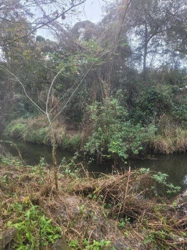 501 Grove Ct, Altamonte Springs FL 32714-1436 exterior